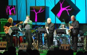 Dainiaus Pulausko grupė